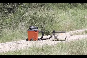 Safe to Vacuum Spilled Gasoline?