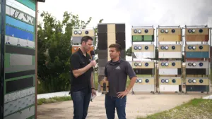 Flashing Tapes Tested - What's the best one?