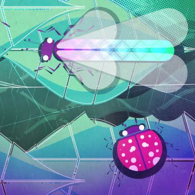 Image03 zip0jr