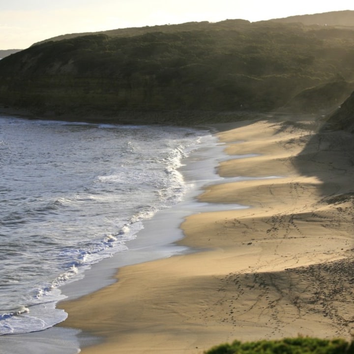 It is named after John Cavert Bell of the family t