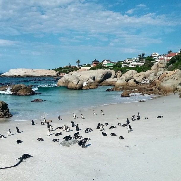 Although set in the midst of a residential area, i