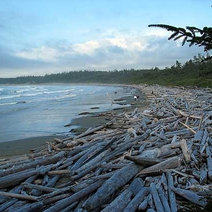 Long Beach features rocky 'islands' in the mid-tid