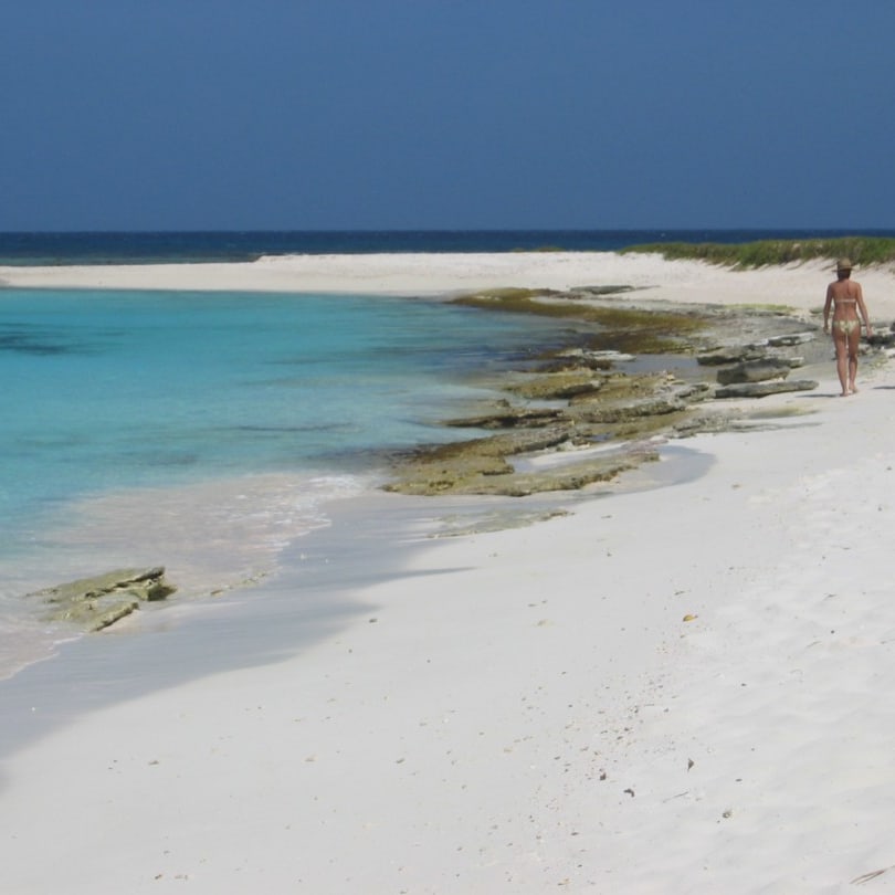 Because of the wide variety of seabirds and rich a