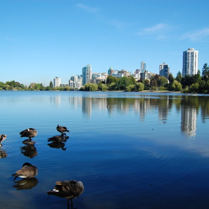Lost Lagoon is an artificial, captive 16.6-hectare