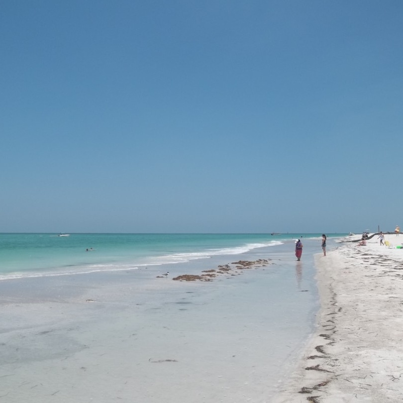 Rum was known under such names as Rum bullion, Rhu