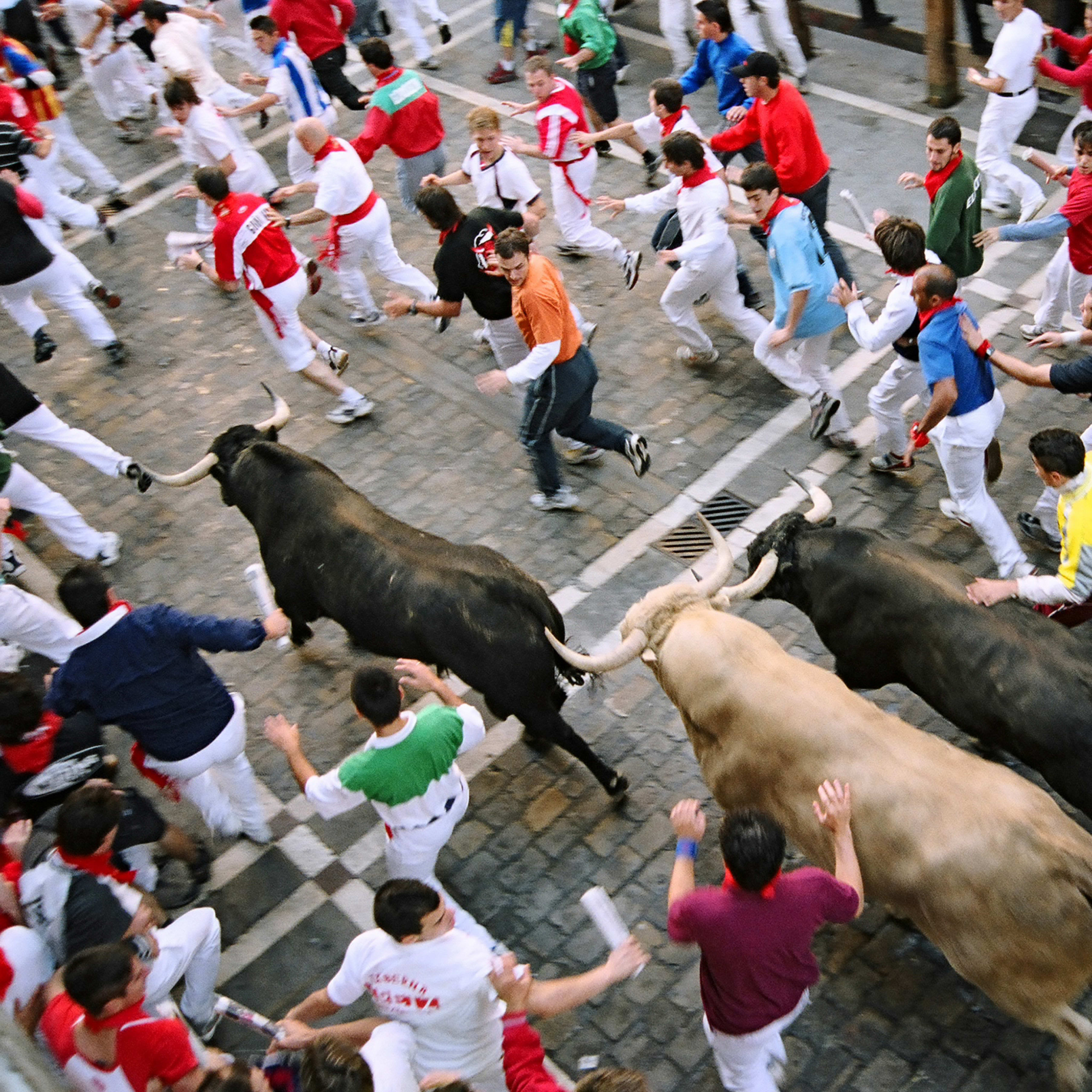 Read Running with the Bulls Online La Tienda