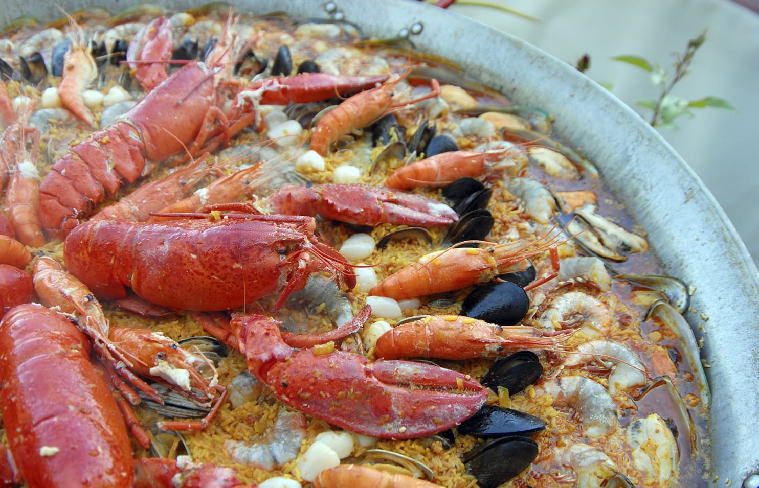 Read Seafood Paella Recipe Online