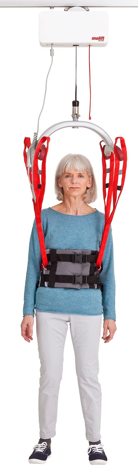 Cincha - chaleco para deambular