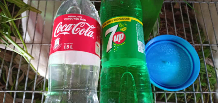 tiếp nước mùa đẻ