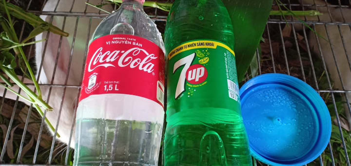 tiếp nước mùa đẻ