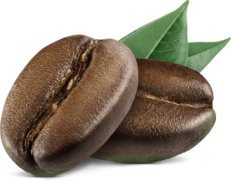 Home 1 coffee bean | Trabajamos directamente con pequeños y medianos caficultores de CAFÉS ESPECIALES en muchas regiones de Colombia. Cada mes, te traemos lo mejor