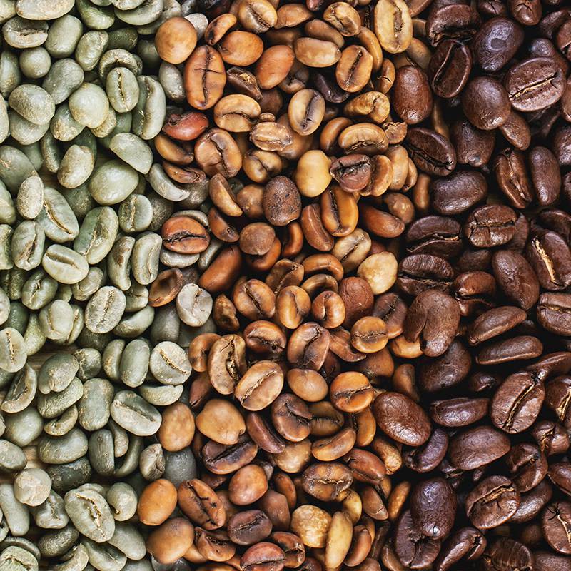 Exportaciones 4 04 coffee | al paladar de los amantes del café, en cualquier lugar del mundo