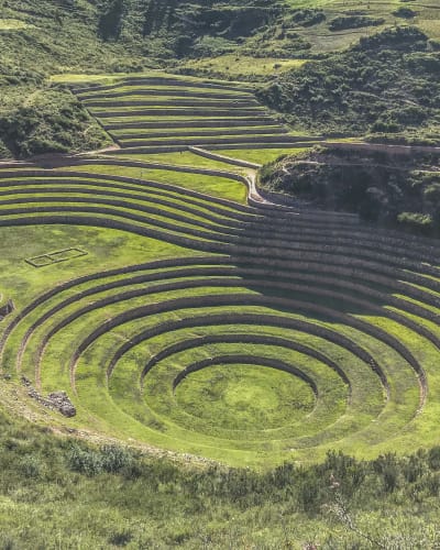 Moray