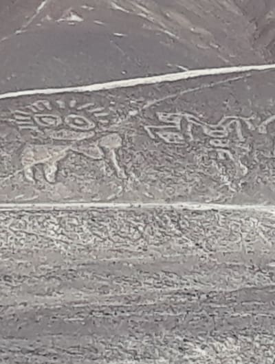 figuras en pampas de nazca
