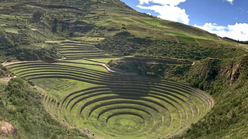 Moray