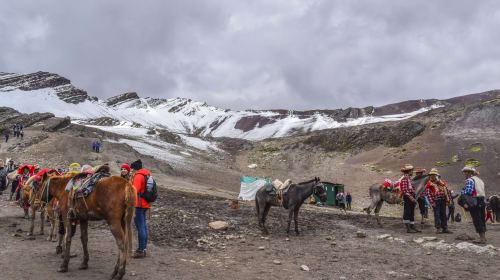 Caballos camino a Vinicunca