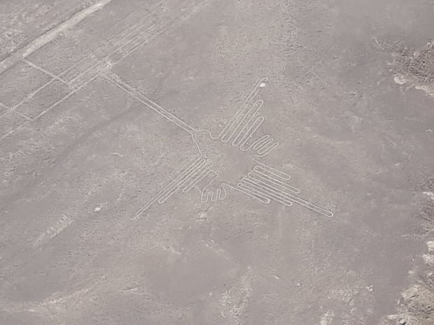imagen en  lineas de nazca