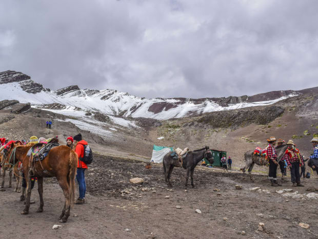 Caballos camino a Vinicunca