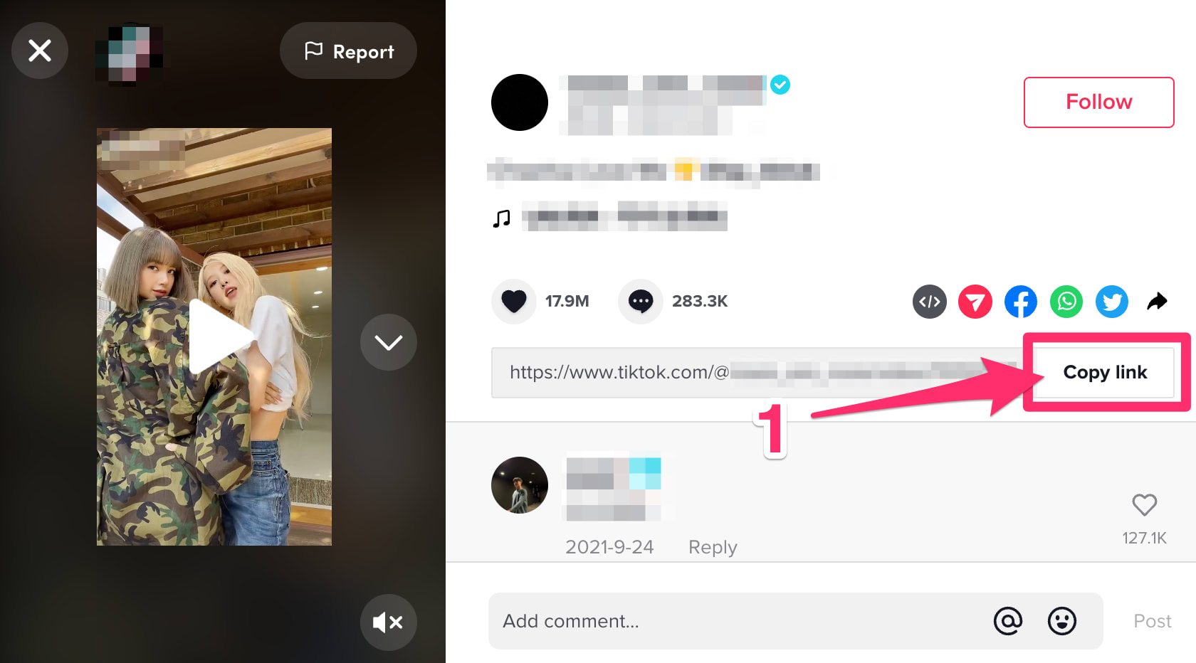 How to Download TikTok video no watermark? desktop step 1, 2