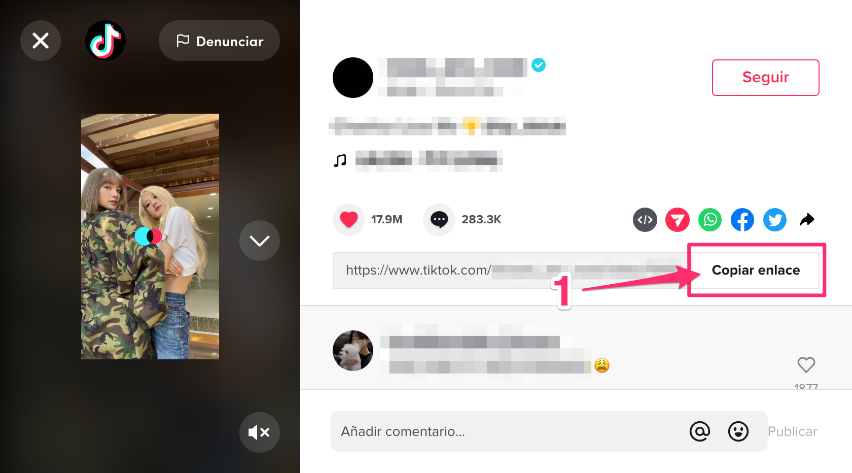 Cómo descargar vídeos de TikTok sin el logotipo de marca de agua? desktop step 1, 2