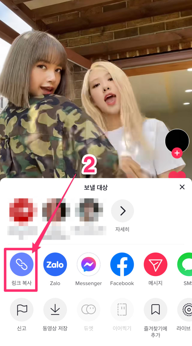 워터마크가 없는 TikTok 비디오를 다운로드하는 방법은 무엇입니까? mobile step 2