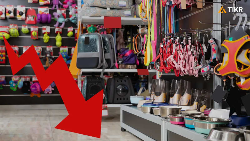 Petco (WOOF) Stock Tanks Over 23% on Q1 Revenue Miss