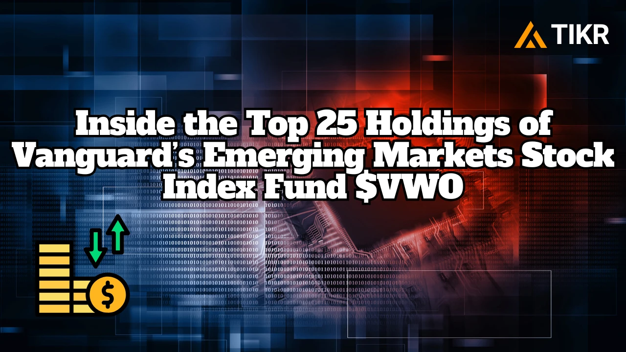 Vanguard 新兴市场股票指数基金(VWO) 前25 名持股| TIKR.com