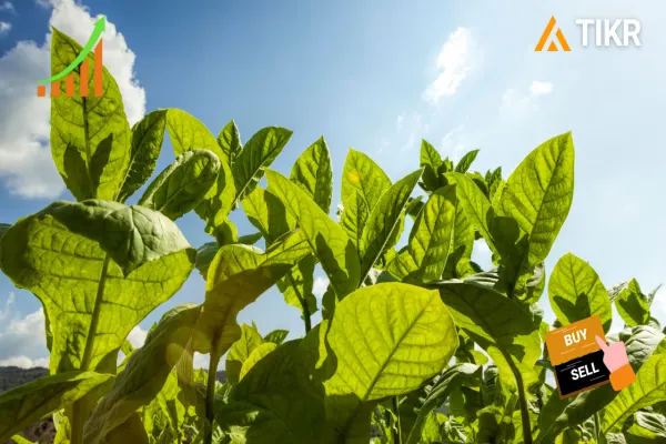 imperial tobacco share price today Can Imperial Brands Keep Outperforming as the Tobacco Market Evolves?