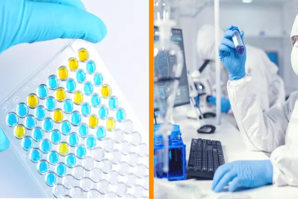 AbbVie Stock Rises as Management Details Pipeline Momentum at Wells Fargo Healthcare Conference