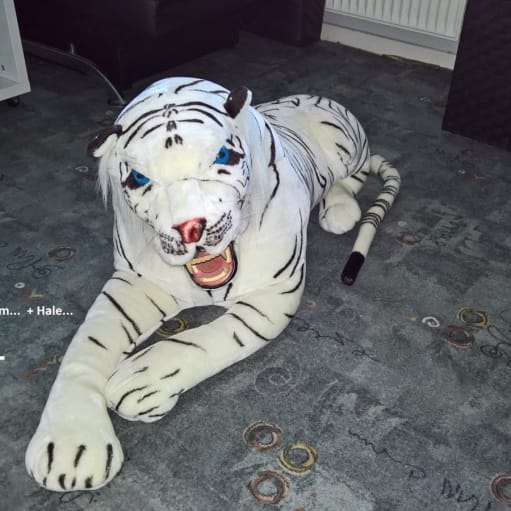 Tøj Tiger