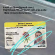 Registered passport ID card, driving license, visa, green card, residence permit