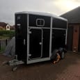 2013 Ifor Williams hb511 hest trailer