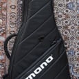 Fender Standard Stratocaster (Mex.) + Mono Vertigo Gigbag