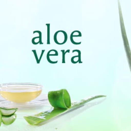 SALG AF ALOE VERA PRODUKTER