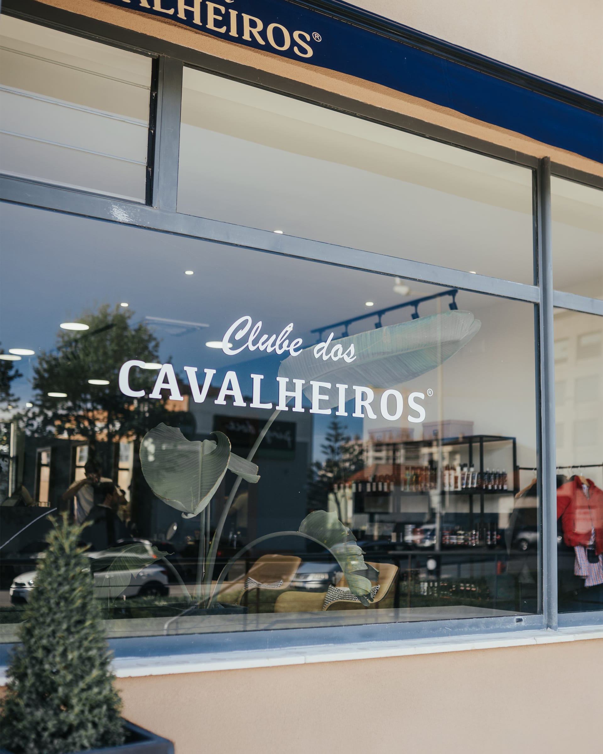 Clube dos Cavalheiros 3