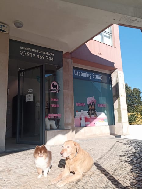 Grooming Studio By Liliana Moura