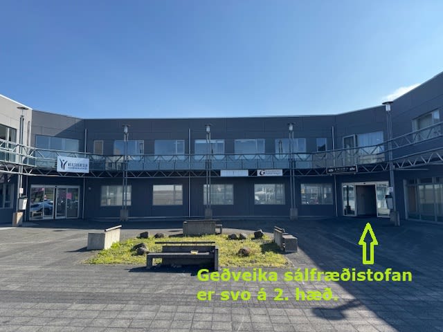Geðveika sálfræðistofan 2