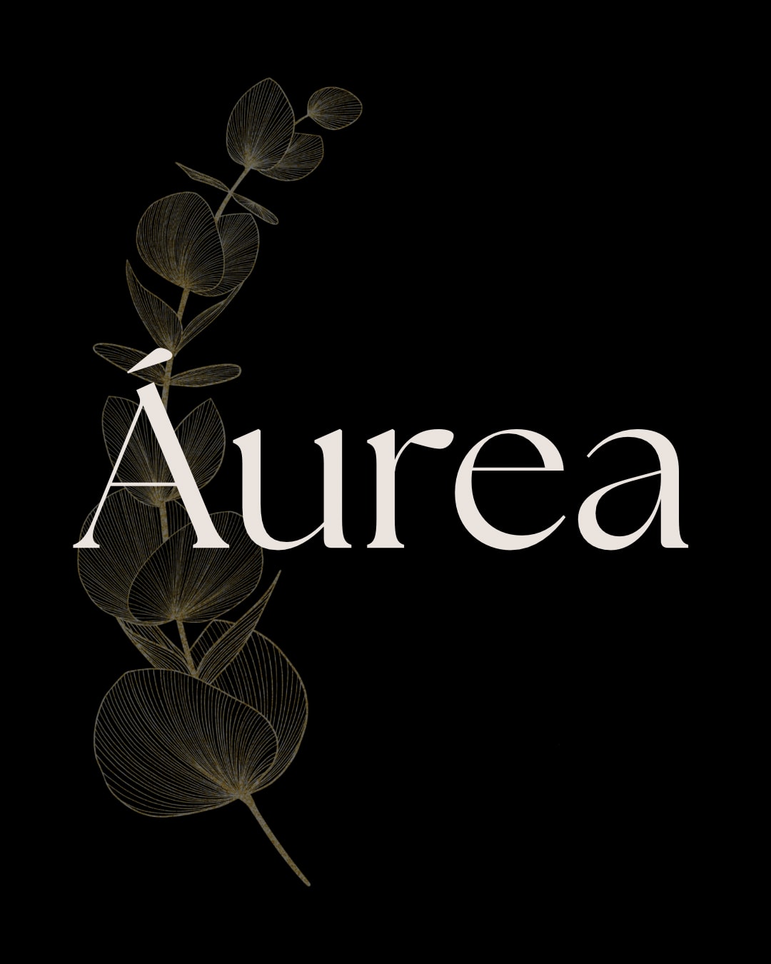 Áurea Beauty Studio