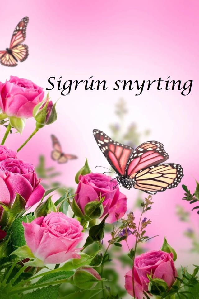 Sigrún snyrting