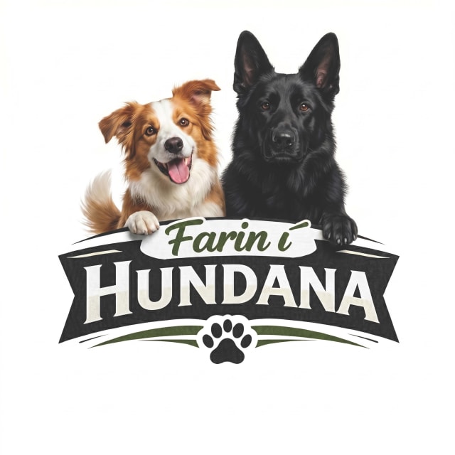 Farin í Hundana