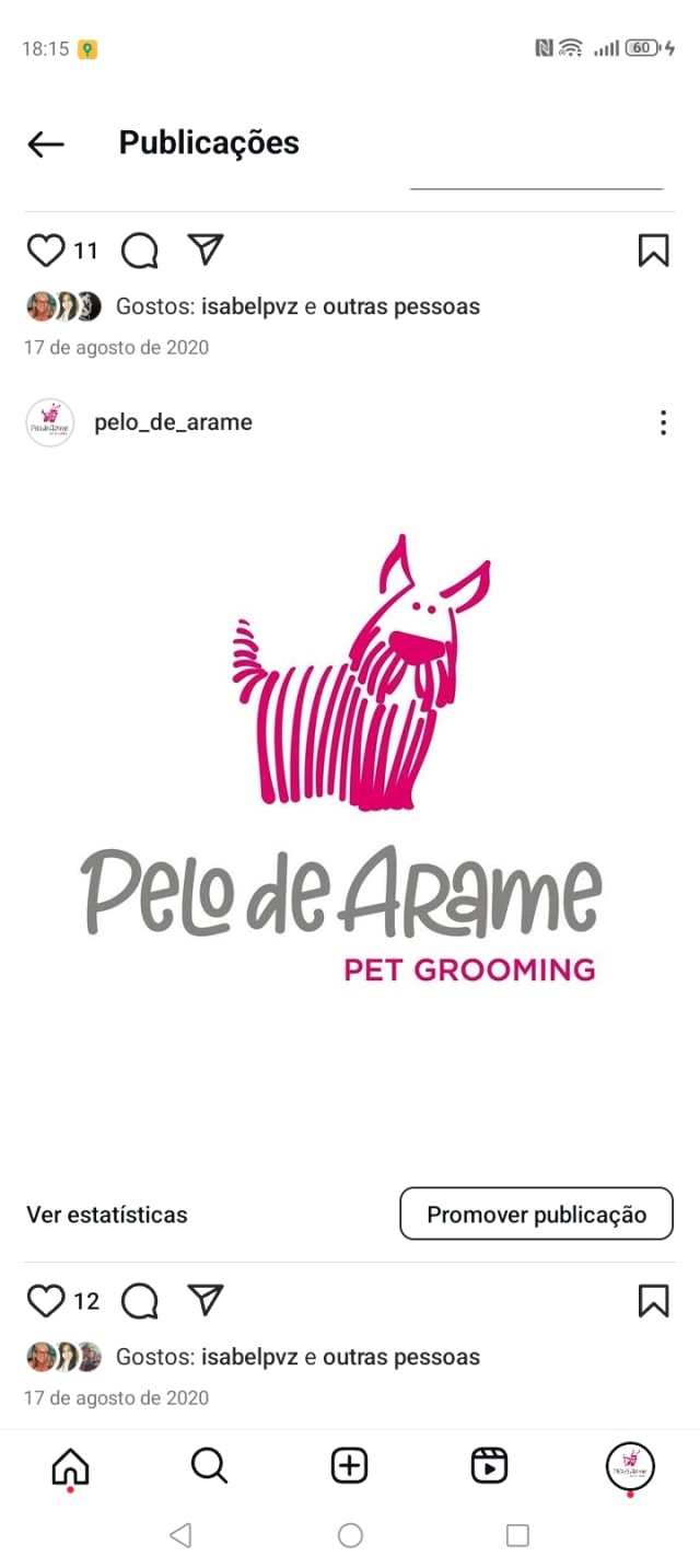 Pelo de Arame