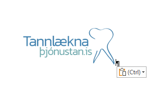 Tannlæknaþjónustan