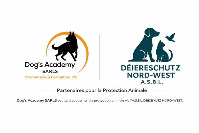 Dog’s Academy S.A.R.L.-S