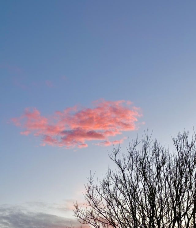 Hlín Bjarna ✨Höfuðbeina- og spjaldhryggsmeðferð