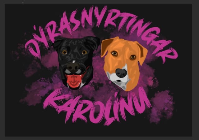 K