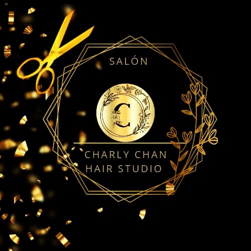 salon charly chan hair studio