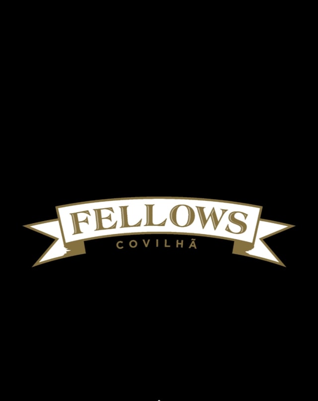 Fellows Covilhã