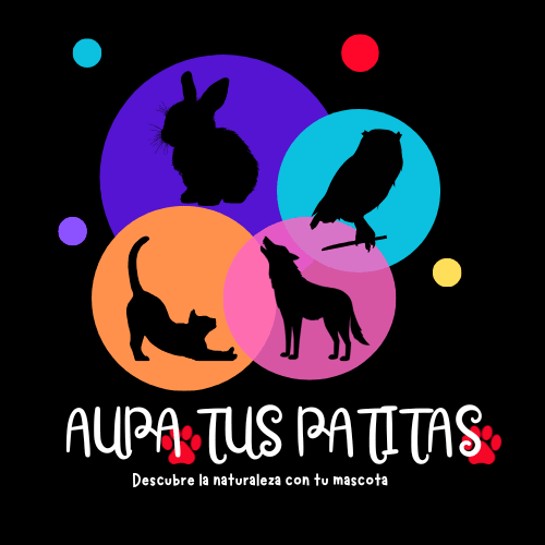 aupa tus patitas