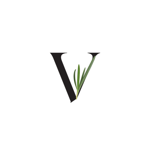 Wellness & Life Coaching