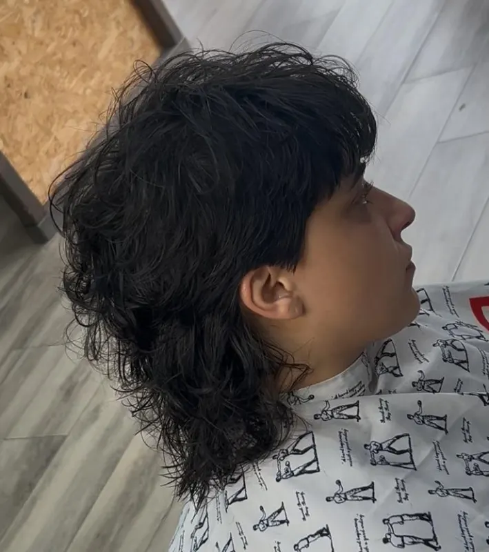 Imagem de capa